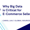 Why Big Data is Critical for eCommerce Sellers